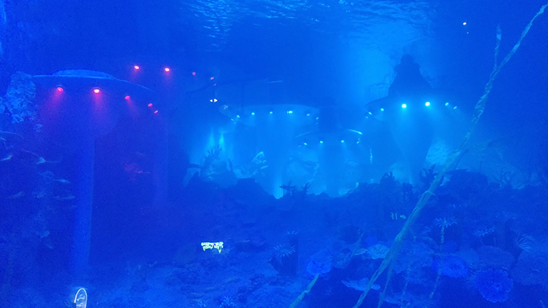 海洋馆泳池水下灯
